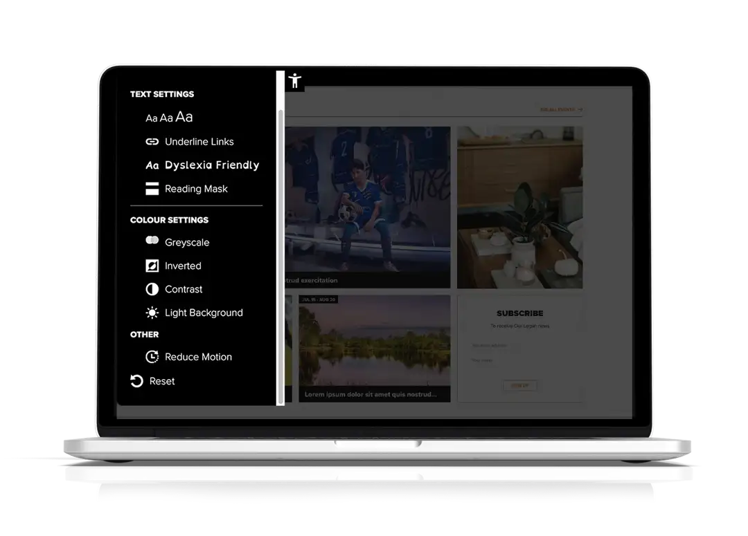 Our Logan - Website Accessibility Function